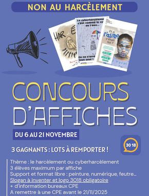 Affiche concours NAH.jpg